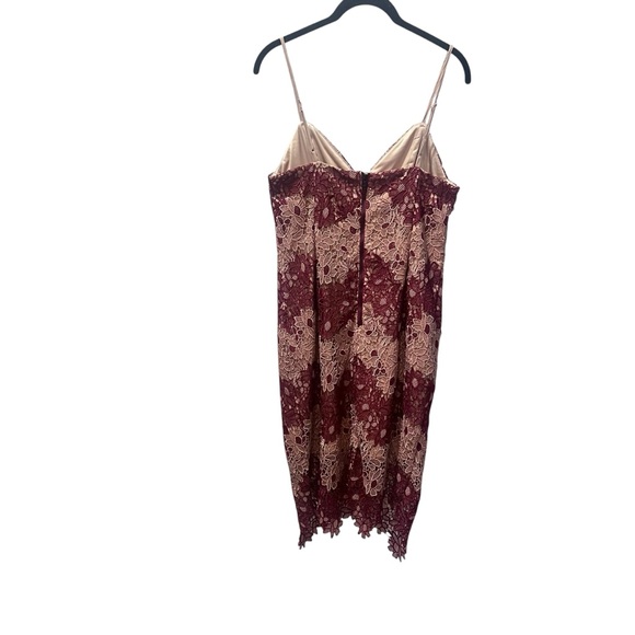 Bardot Burgundy and Beige Lace Overlay Sheath Dress Size 8 - Picture 2 of 7